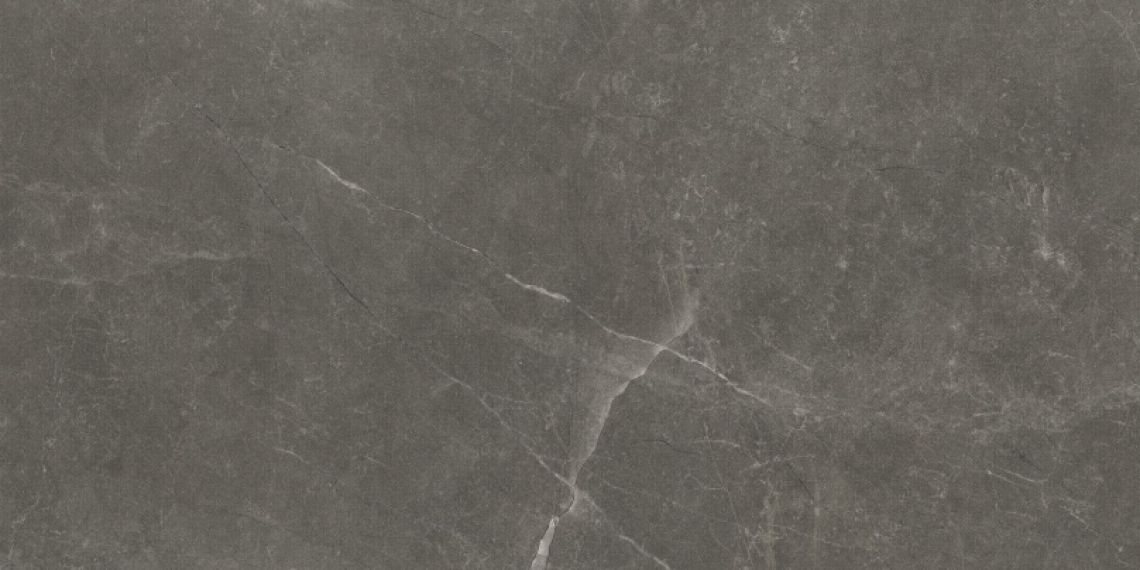 Bayona Grey Natural 60x120 