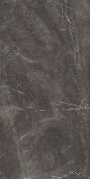 Bayona Grey Pulido 120x240