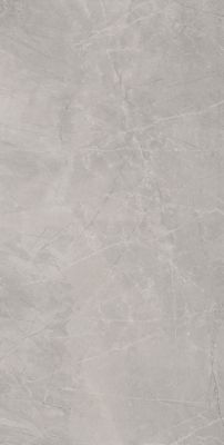 Bayona Silver Natural 120x240