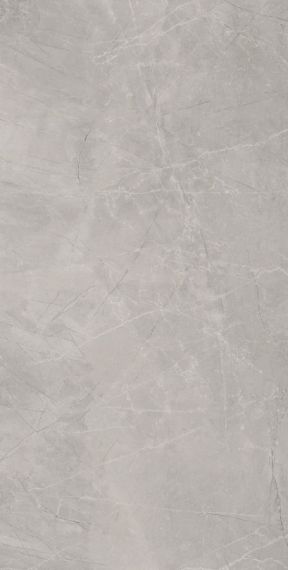 Bayona Silver Natural 120x240