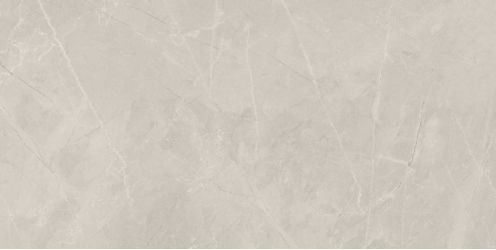 Bayona Silver Natural 60x120 