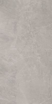 Bayona Silver Pulido 120x240