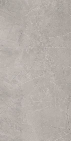 Bayona Silver Pulido 120x240