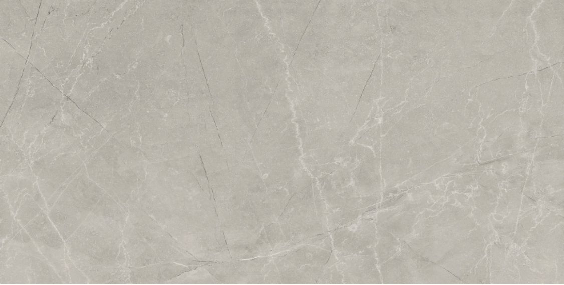Bayona Silver Pulido 60x120 