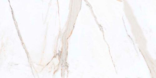 Beiker Polished Carara 60x120