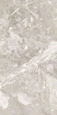 Belcastel Silver Rec. 60x120