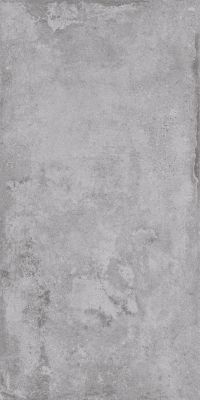 Bella Gris 60x120