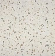 Belstone Bone MT 60x60