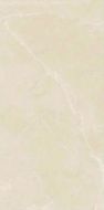 Berrys Beige High gloss 60*120