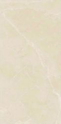 Berrys Beige High gloss 60*120