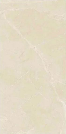 Berrys Beige High gloss 60*120