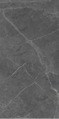 Berrys Graffite High gloss 60*120