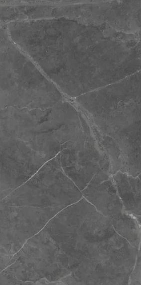 Berrys Graffite High gloss 60*120