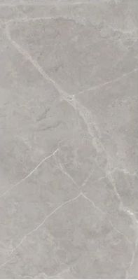 Berrys Grey High gloss 60*120