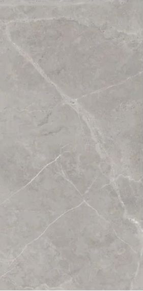 Berrys Grey High gloss 60*120