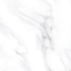 Bianco Spider Polished 60х60