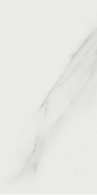 Bianco Statuario JW01 Luc SQ 120x240