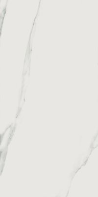 Bianco Statuario JW01 Luc SQ 60x119.7