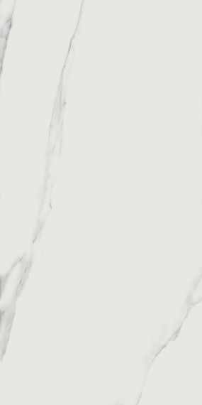 Bianco Statuario JW01 Luc SQ 60x119.7