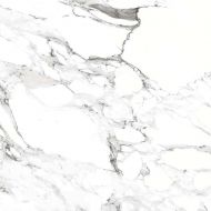 Bianco carrara PGVT 60x60