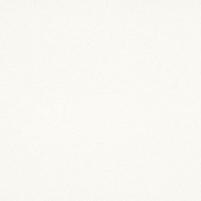 Black-White SUPERWHITE SMOOTH 100x100