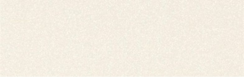 Black-White Snow 300x100