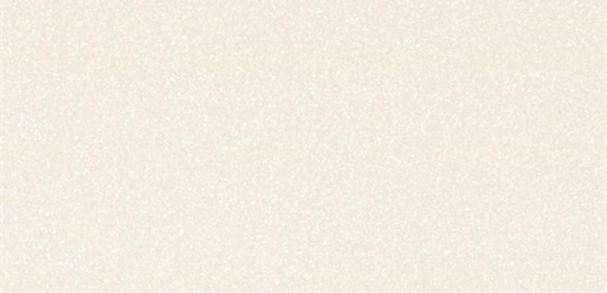 Black-White Snow 50x100
