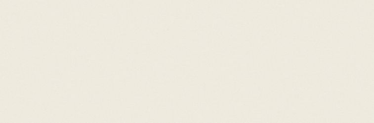 Black-White White 300x100