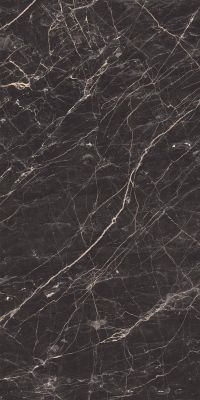 Black Arkadia черный полированный 60х120