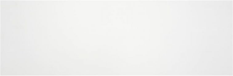 Blanco Mate 33.3x100