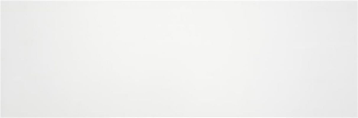 Blanco Mate 33.3x100