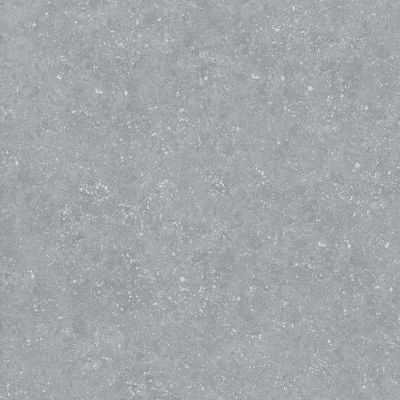 Bluestone Light 59.7х59.7