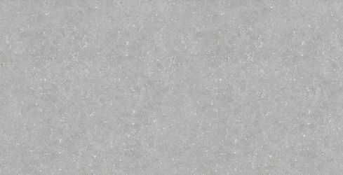 Bluestone Light 60x120