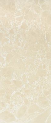 Bohemia brown wall 01 25x60