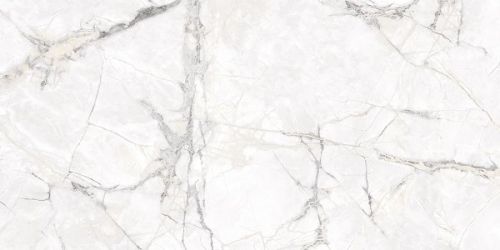 Borgia BLANCO 60x120