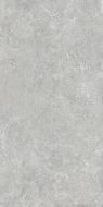 Borgogna Silver Matt 160x320