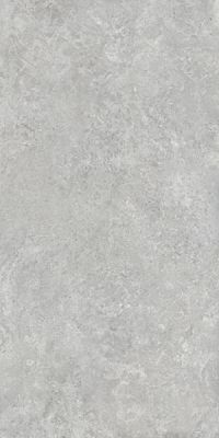 Borgogna Silver Matt 160x320