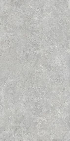Borgogna Silver Matt 160x320