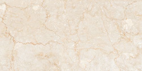 Bottochino Classic Polished 60х120