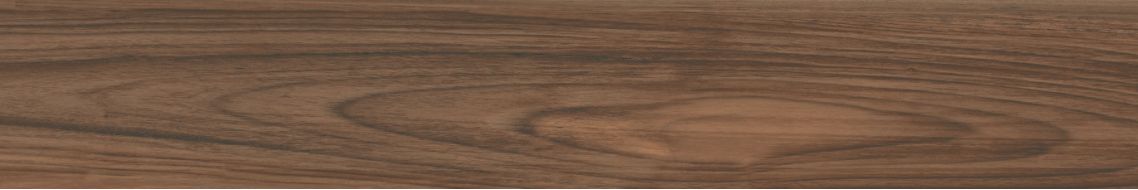 Boutonne Cognac Pulido R 20x120
