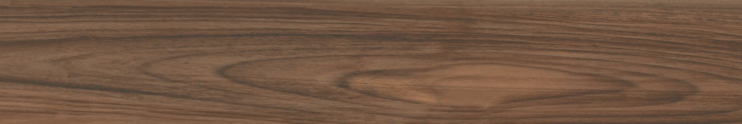 Boutonne Cognac Pulido R 20x120