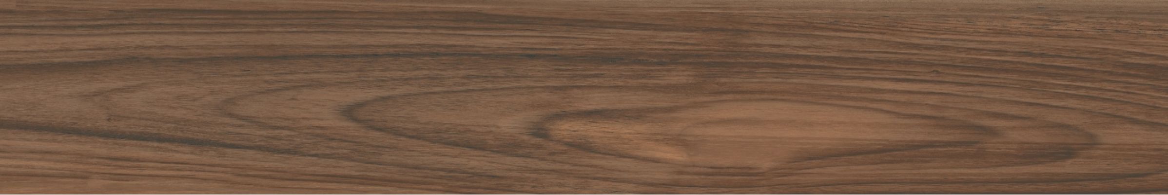 Boutonne Cognac Pulido R 20x120