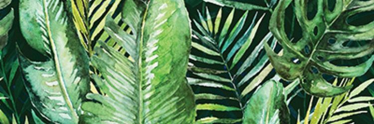 Braga Tropic A Rect 25x75