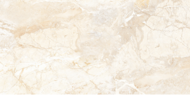 Brazilian Brown Carving 60x120