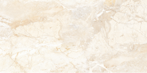 Brazilian Brown Carving 60x120