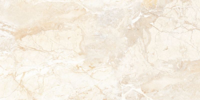 Brazilian Brown Carving 60x120