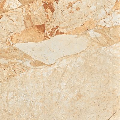 Brecci Aurora Gold Polished 60х60