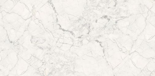 Breccia Silver Carving 60x120