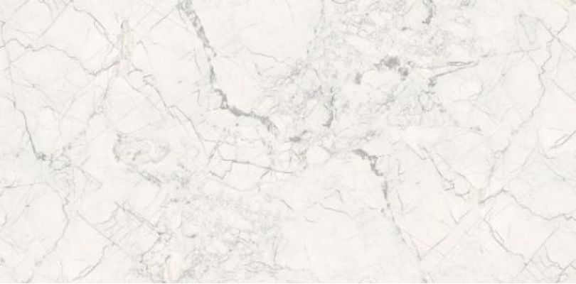 Breccia Silver Carving 60x120