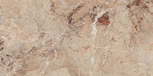 Brecia Antic Brown Полированный 60х120